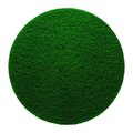 Gator 17 in. D Non-Woven Natural/Polyester Fiber Floor Pad Disc Green 6742